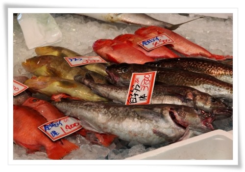 いきいき魚市-3 13.12.29