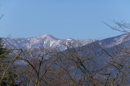DSCF2399.jpg