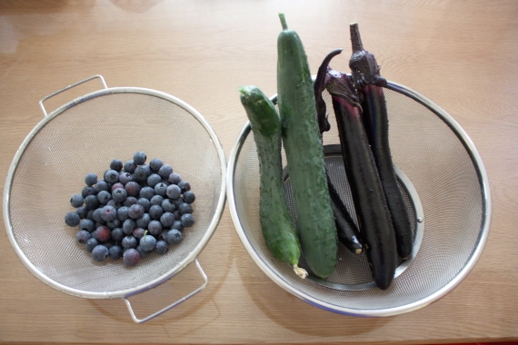 20160712002.JPG