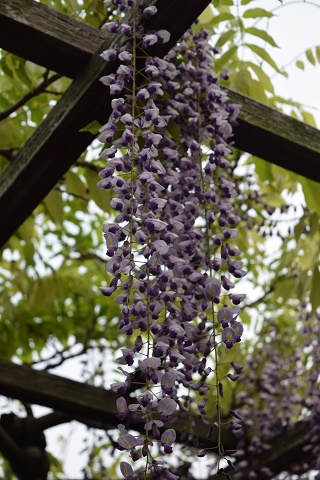 DSC_0002.jpg