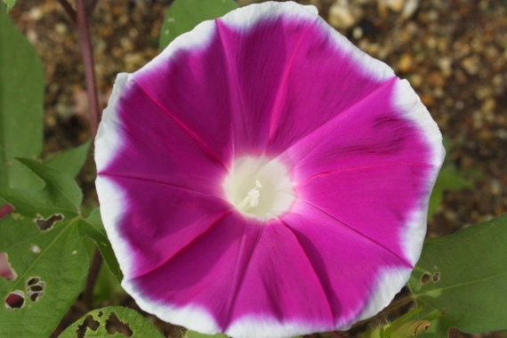 20160710003.JPG
