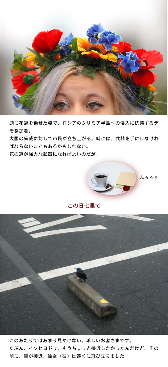 2014.03.20-2.jpg