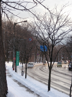 2017-11-28-1 (1).JPG