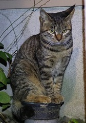 5DA_9343-19.jpg