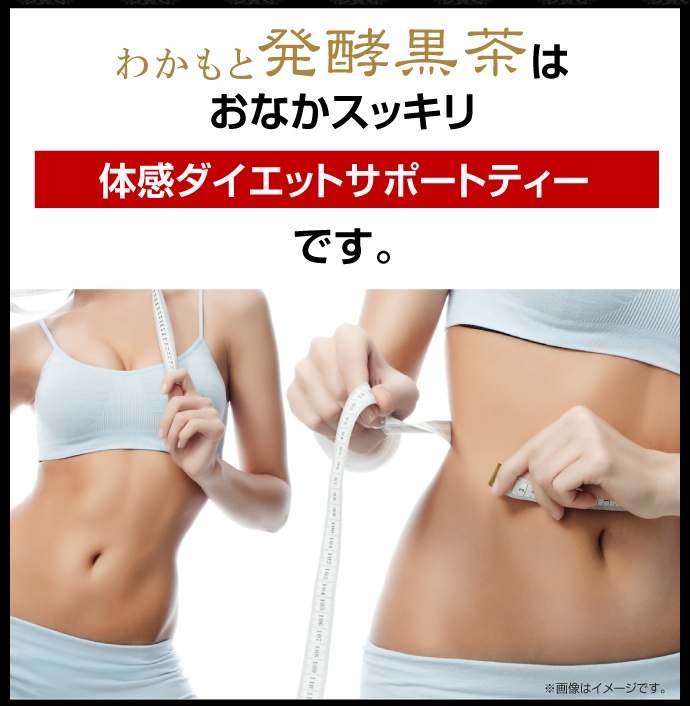 ダイエットサポートティー