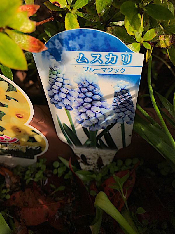 rblog-20180326193404-05.jpg