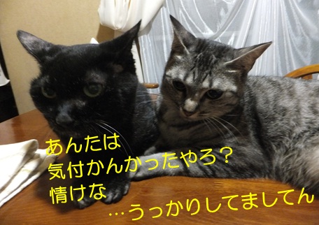 20120906_4.jpg
