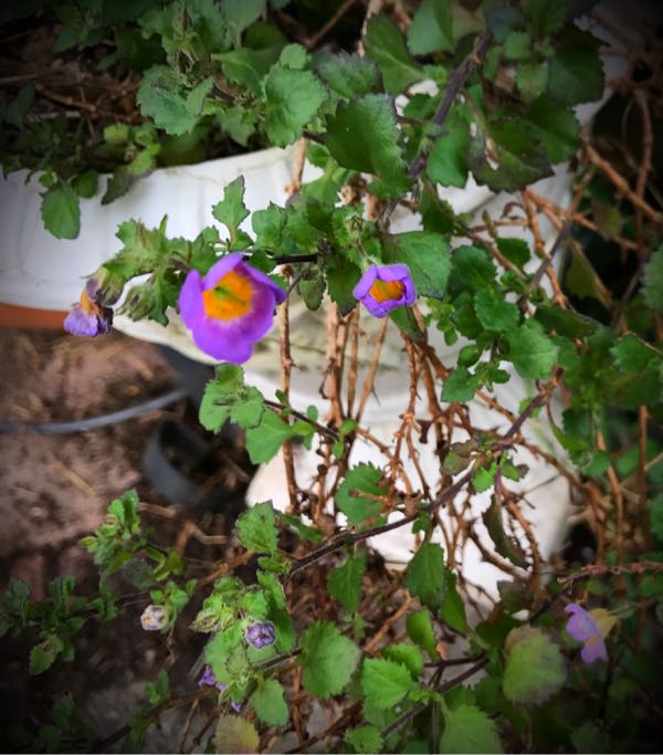 rblog-20161030163019-02.jpg