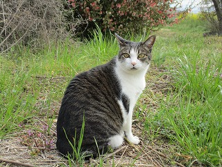 IMG_8674ss.jpg