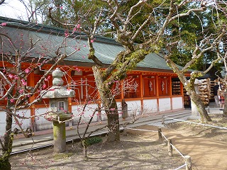 P1300747ss.jpg