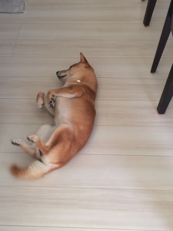 rblog-20161006152130-06.jpg