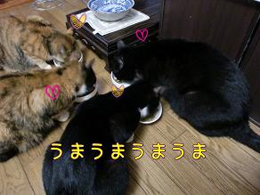 みんなでごはん.JPG