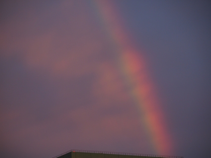 P9195111_12r.JPG