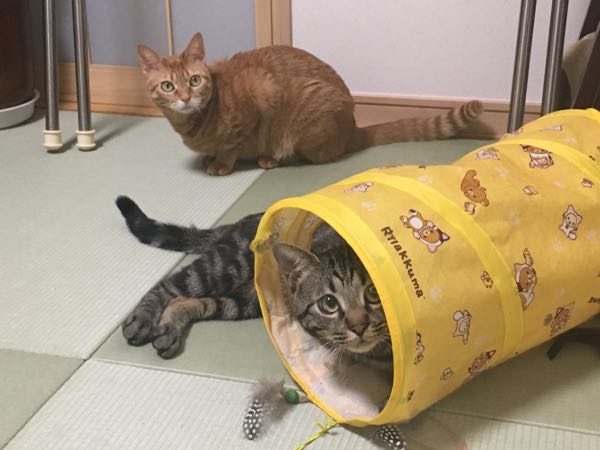 rblog-20190102215100-02.jpg