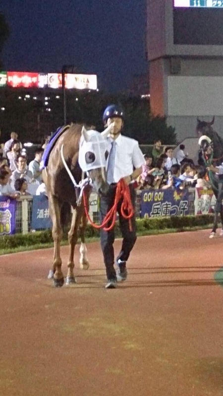 iwata (450x800).jpg