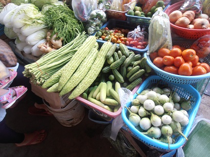 PA110003.JPG