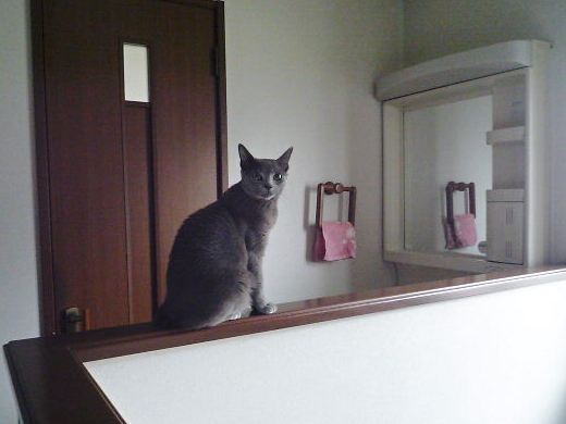2014年09月05日_P1190942.jpg