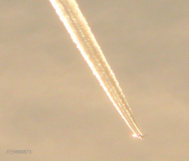 夕焼け受けた飛行機雲！