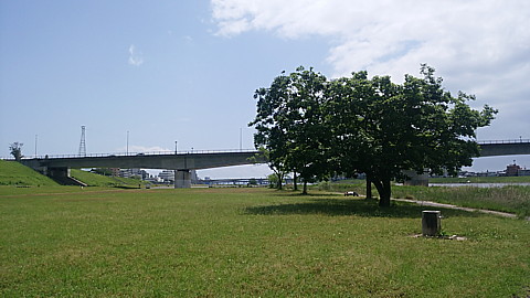 IMG_20150502_111103.jpg