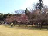 DSC_2655.jpg