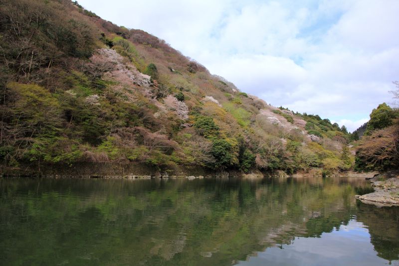 大堰川と嵐山_008.jpg