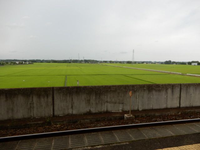 ときめき旅日記 - 楽天ブログ Bild & Inspiration ときめき旅日記 - 楽天ブログ Motiv