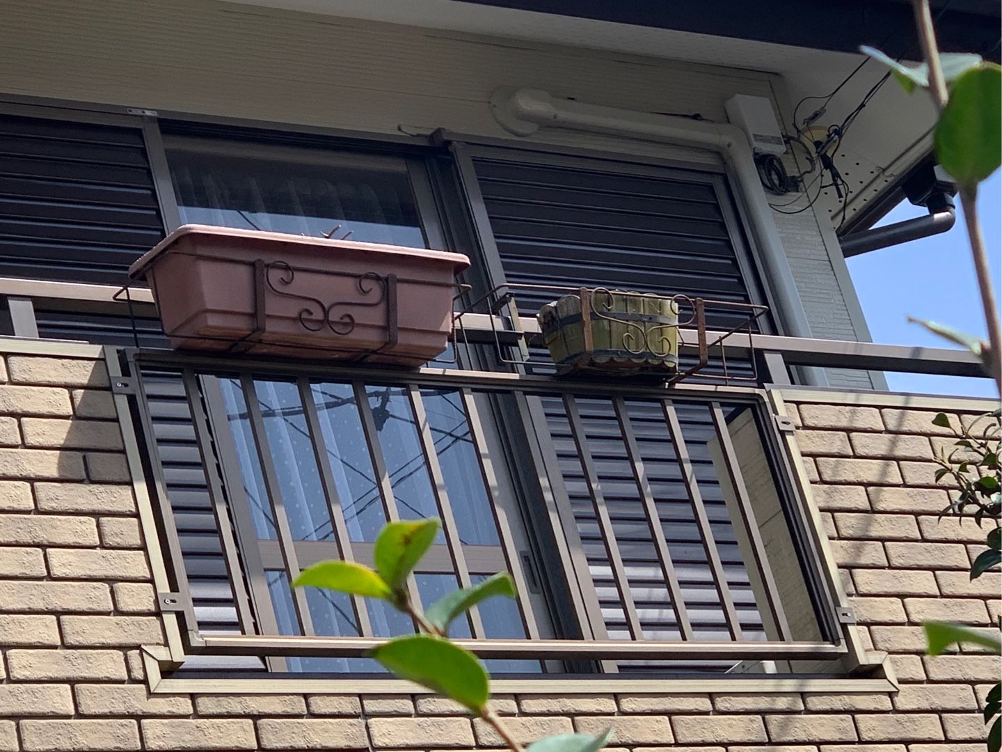 ２階のベランダにハンギングしていたプランターのグラリオの枯れたツルを切って地面に落とし 水遣り用に挿してあったペットボトルも抜いて ベランダの床の鉢に挿しました Music Land 私の庭の花たち 楽天ブログ