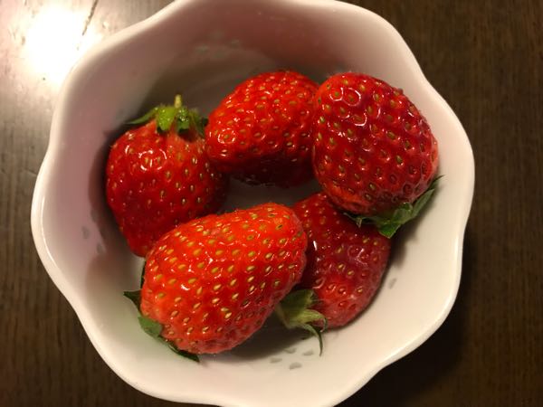 rblog-20190330210939-00.jpg