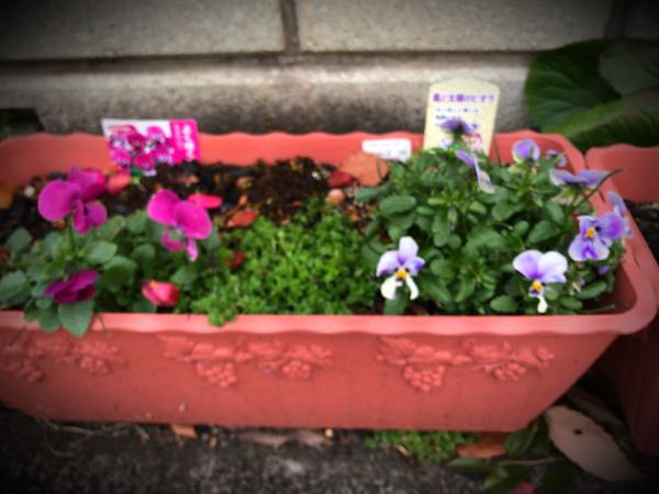 rblog-20161226172722-02.jpg