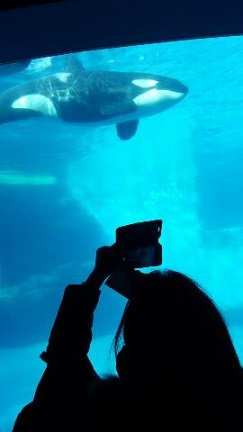 1452559207167[1].jpg