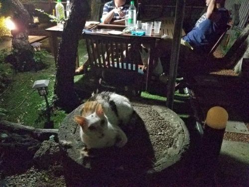 rblog-20180726105005-01.jpg
