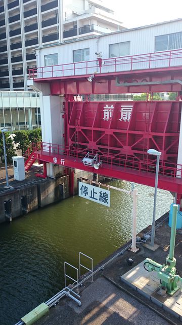 2015-08-22 16.26.09.jpg