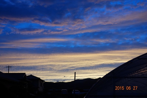 DSC02253.JPG