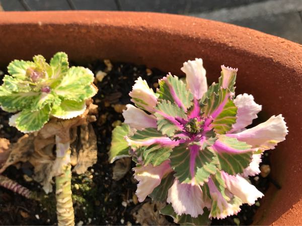 rblog-20180324163149-05.jpg