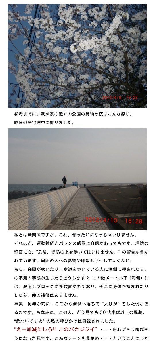 2012.04.10-3.jpg