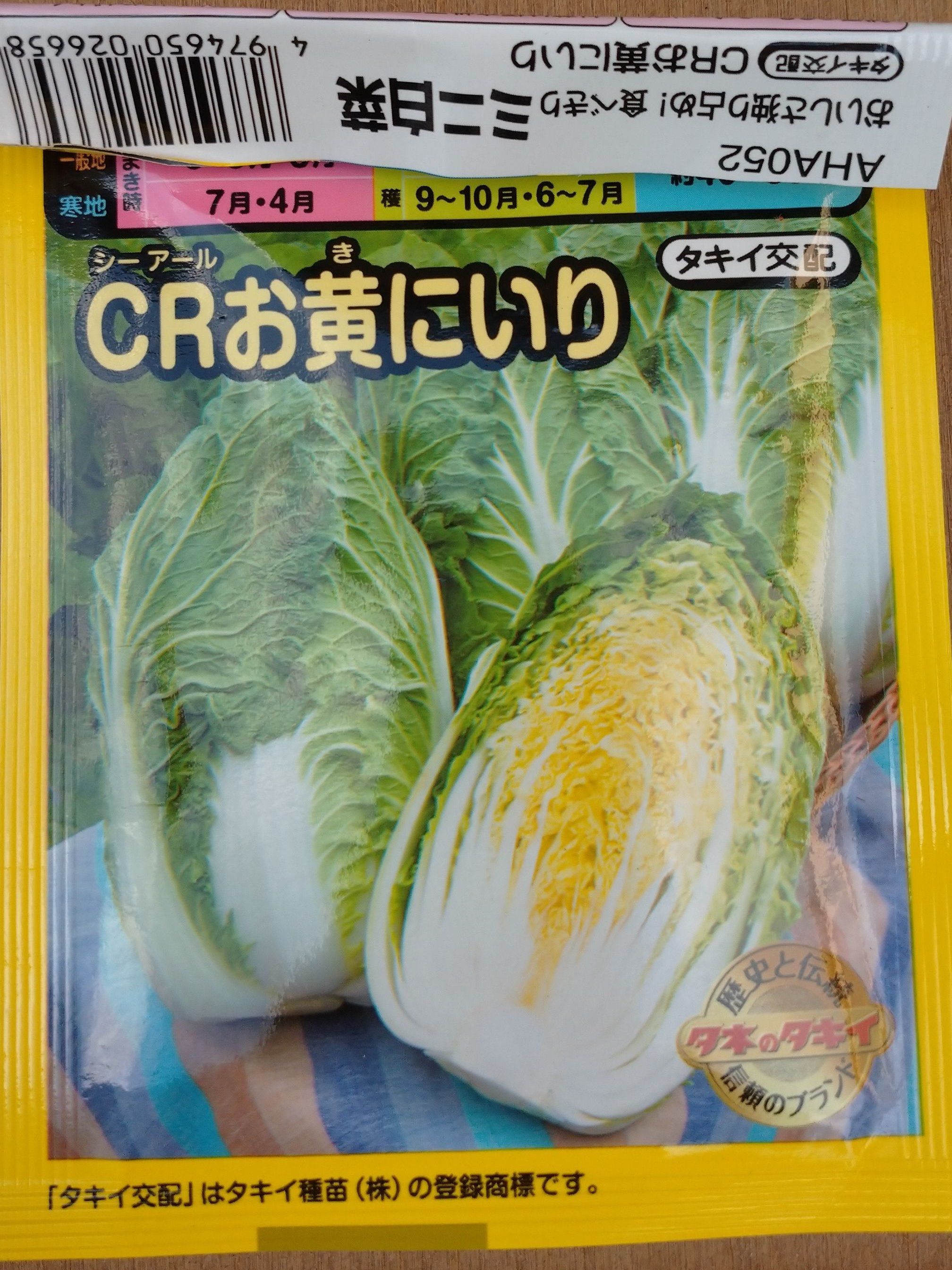 プランター菜園 ミニ白菜 Enjoy Myhomeー節約と時短を楽しむ日々ー 楽天ブログ