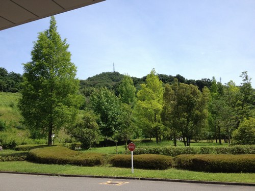 1病院帰り500４.jpg