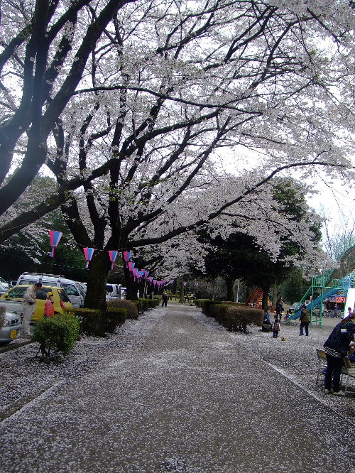 かしの森公園２