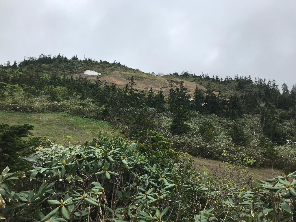 シリーズ東北の山（2）会津駒ヶ岳（あいづこまがたけ・2133m）福島県桧枝岐村（前編） | 醍醐山と下部（しもべ）温泉 - 楽天ブログ