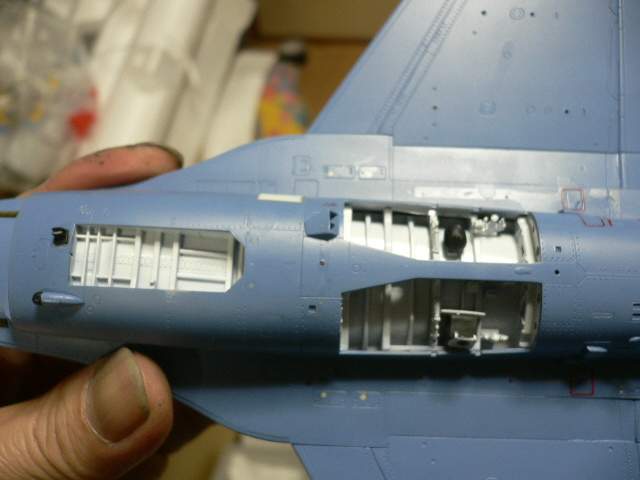 P1070021.jpg