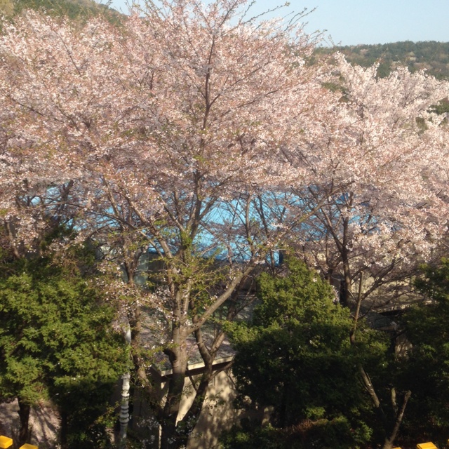rblog-20140411162647-00.jpg