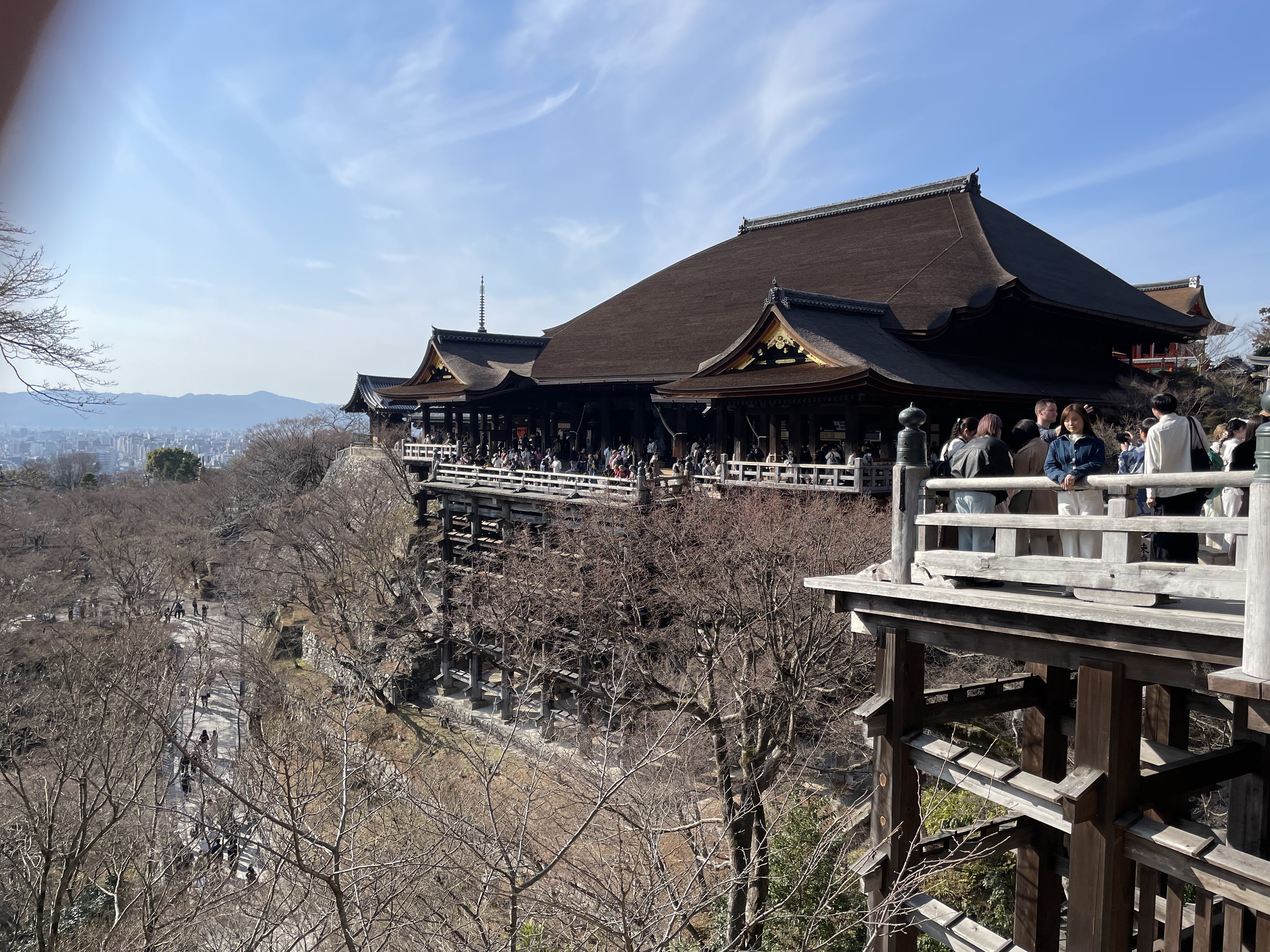大学生活と株と