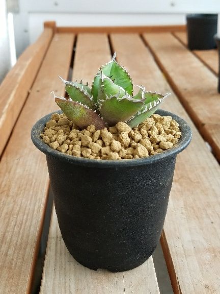 rblog-20180720113956-02.jpg