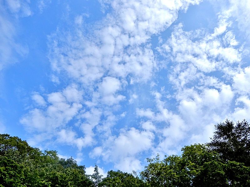 空2