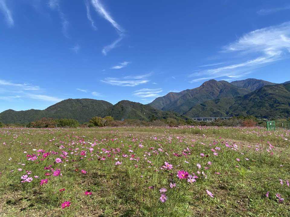 醍醐山と下部（しもべ）温泉