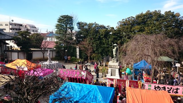 2016-01-02 09.53.55.jpg