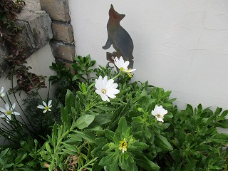 IMG_0858ss.jpg