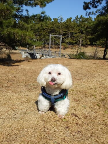 葛西臨海公園にて