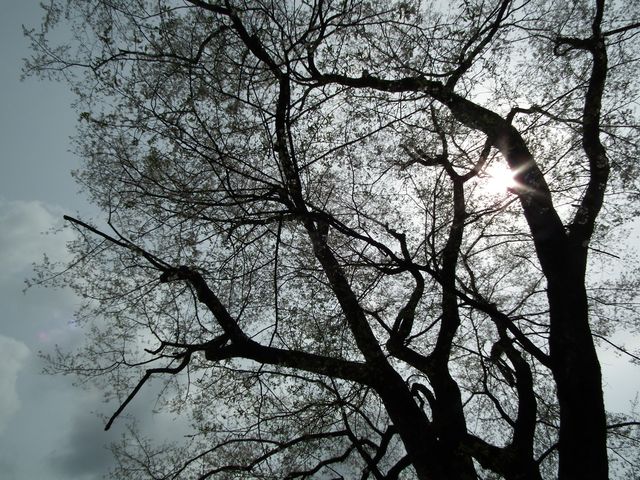 DSCF3736.JPG
