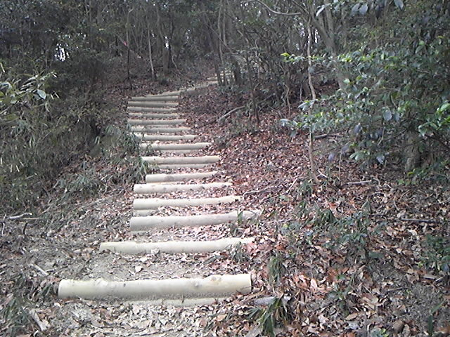 130113_130653.jpg